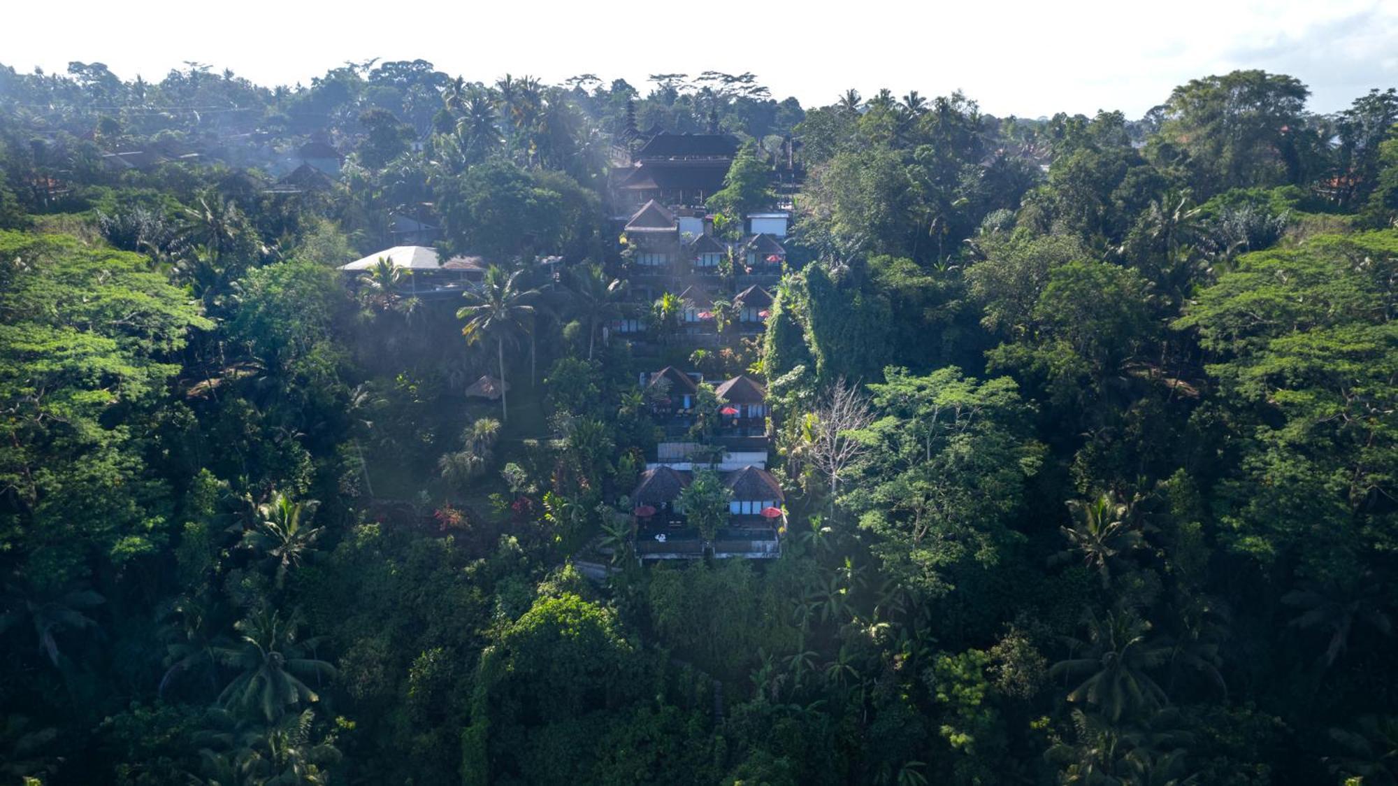 Black Penny Villas Ubud Exterior foto